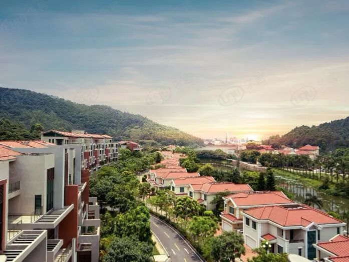 10月16日广州*新楼盘报价 荔湾有盘价格约53000元/㎡