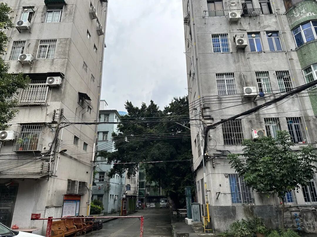 鱼珠旧城更新改造项目有实际进展，现场资料曝光！