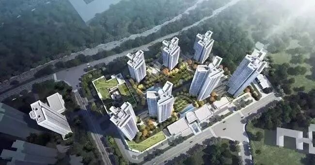 年底冲业绩！24盘齐发打响年末收官之战