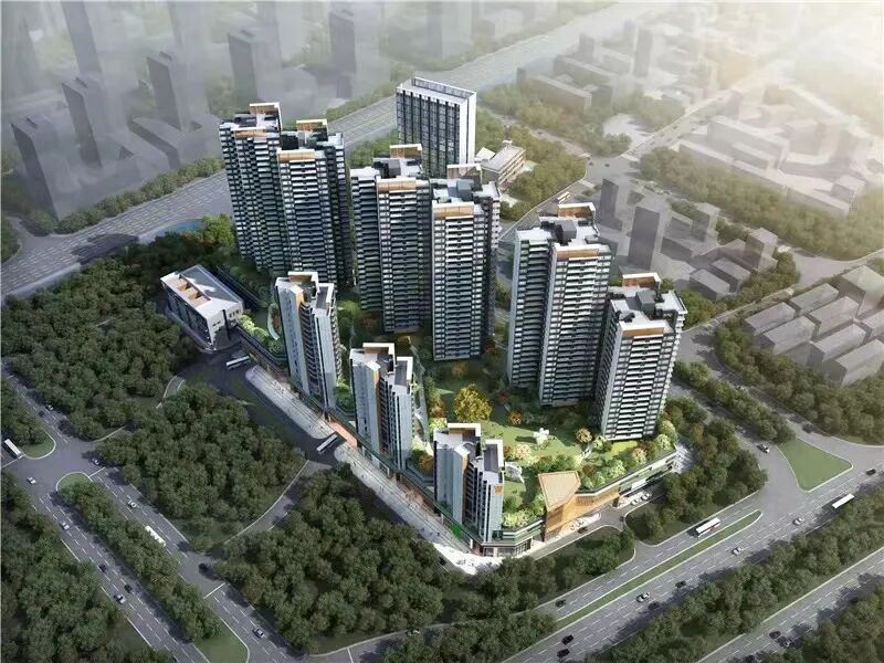 年底冲业绩！24盘齐发打响年末收官之战