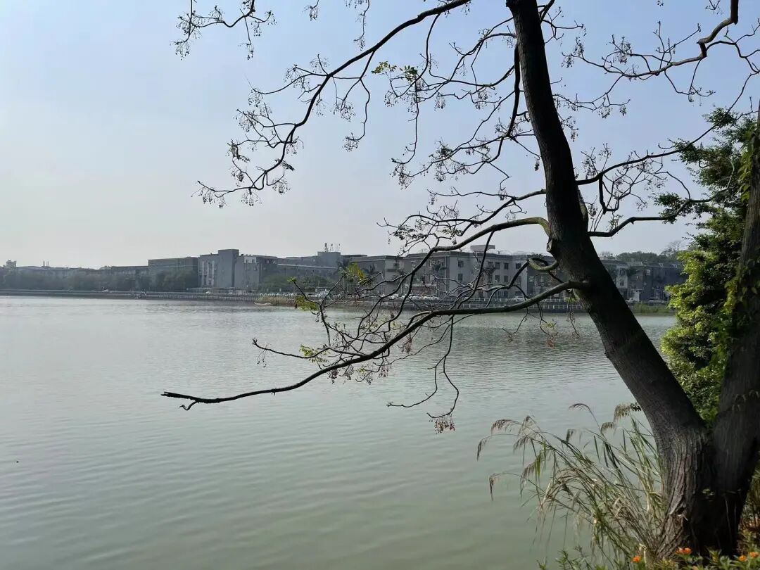 海珠保利湖光悦色清盘在即！*新在售户型+价格