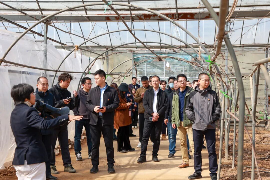 活力巨各庄驻村第一书记涉农学习考察