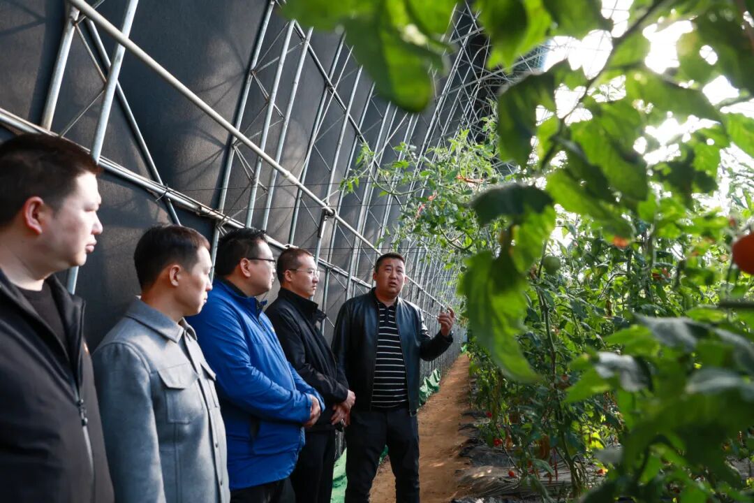 活力巨各庄驻村第一书记涉农学习考察