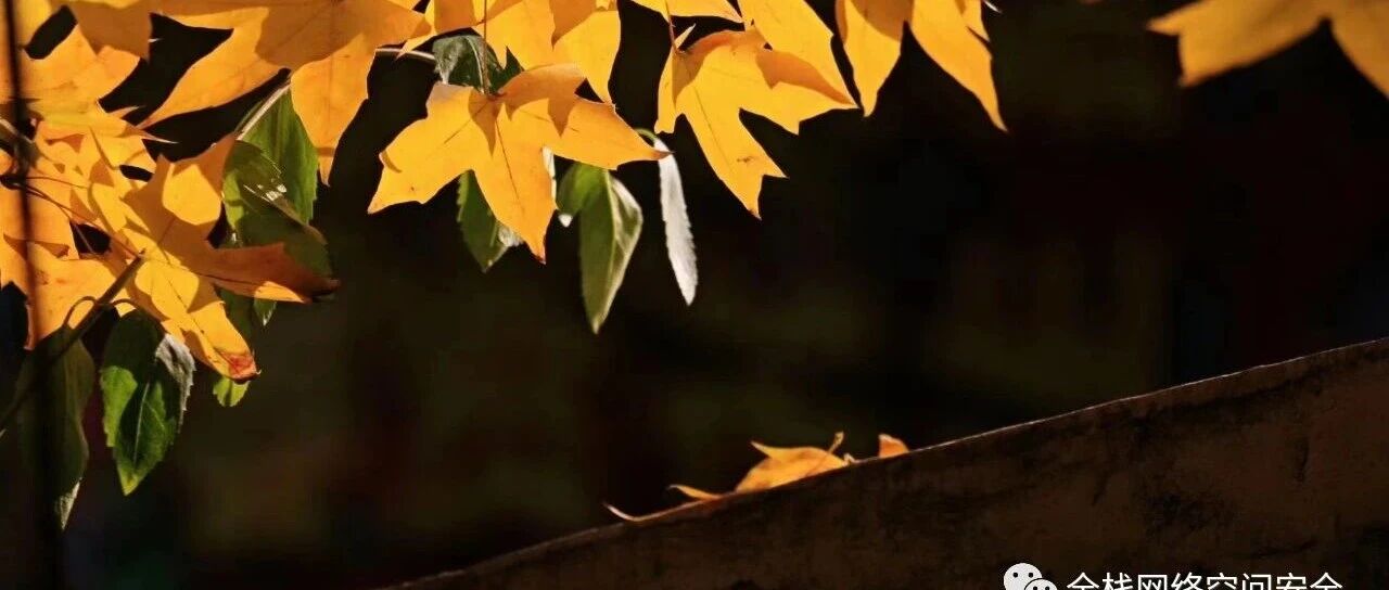 cover_image