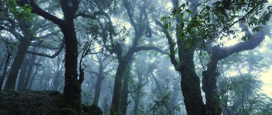 什么是哀牢山？｜草地·新闻地理