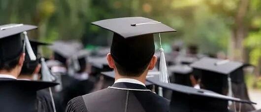 清北本科毕业生留京不到两成？“孔雀四处飞”不是坏事 | 每日快评