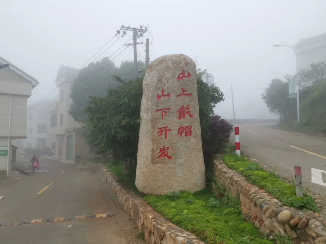 村医致富经_村医致富经小说阅读_乡医致富经