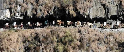 察隅：隱藏於峽谷密林的「西藏江南」｜草地·神州風物 旅遊 第10張