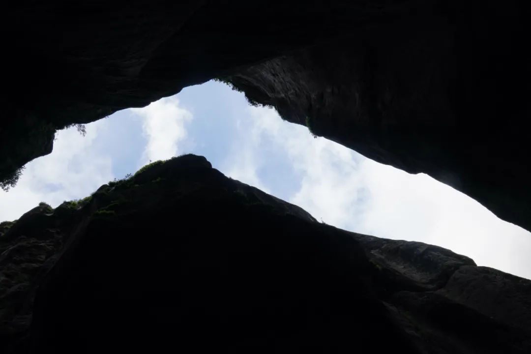 探秘喜馬拉雅「第六條溝」，這裡是西藏「桃花源」｜草地·神州風物 旅遊 第10張