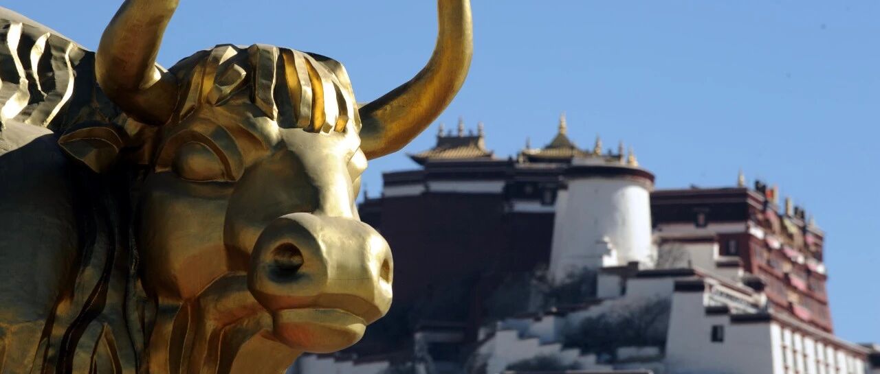 牛年说牛：属牛的你到底是属黄牛，还是属水牛？| 草地·春节特刊