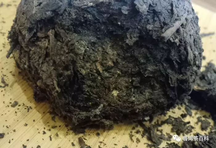 【普洱茶百科】长虫子的普洱茶千万别扔!也许是宝贝