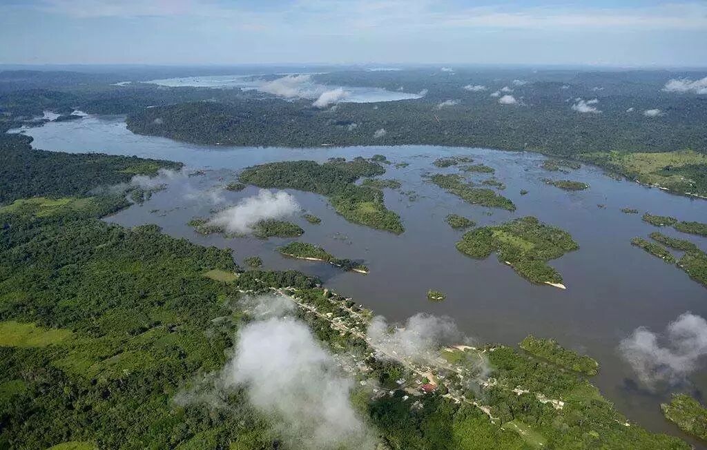 极光灯光效果_极光灯泡怎么样_灯鱼极光