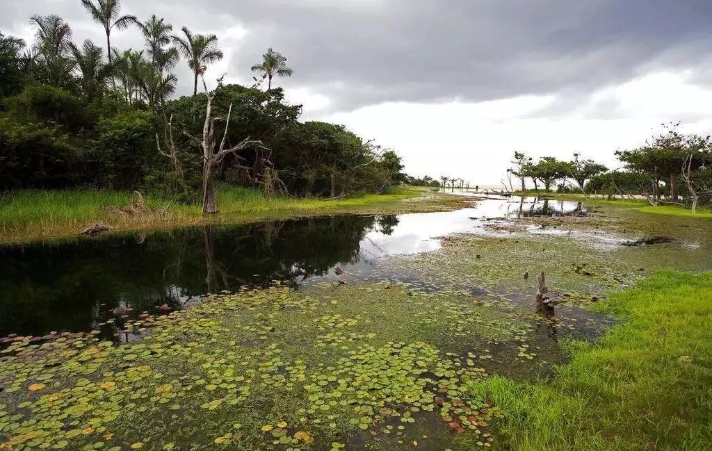 灯鱼极光_极光灯光效果_极光灯泡怎么样