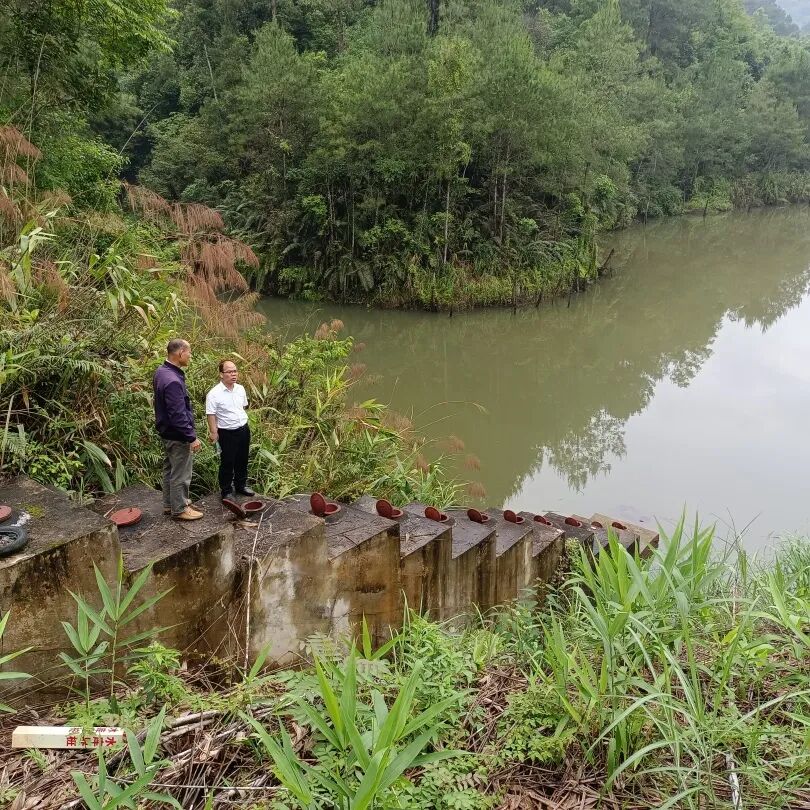 昭平县马江镇下好先手棋筑牢防汛安全堤