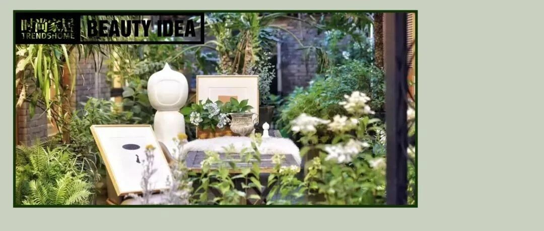 1㎡室内小森林迎立春，元气满满！