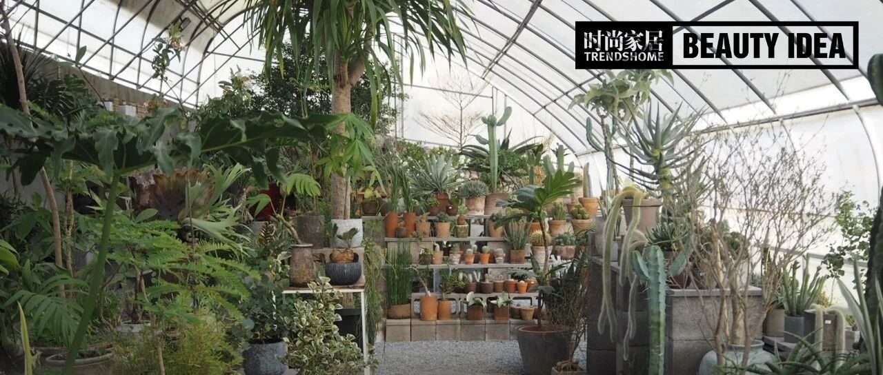 最浪漫夫妻，租3000㎡种千种植物火遍家居圈