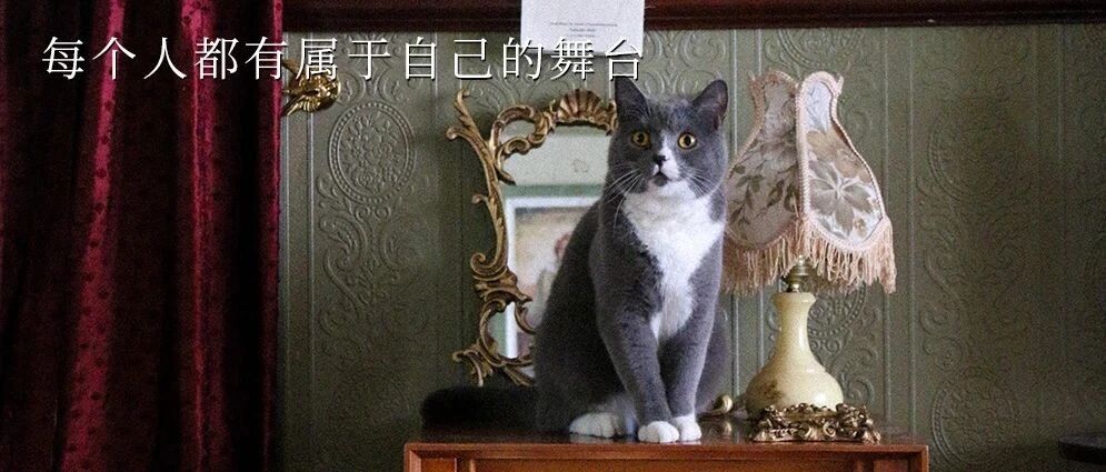 SATURDAY / 相信自己