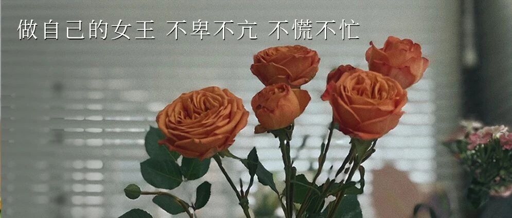 SUNDAY / 女生节快乐