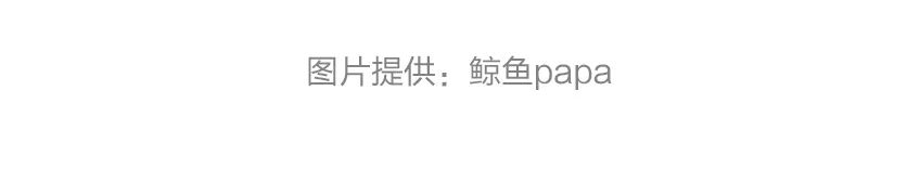 TUESDAY / 热爱可抵岁月漫长