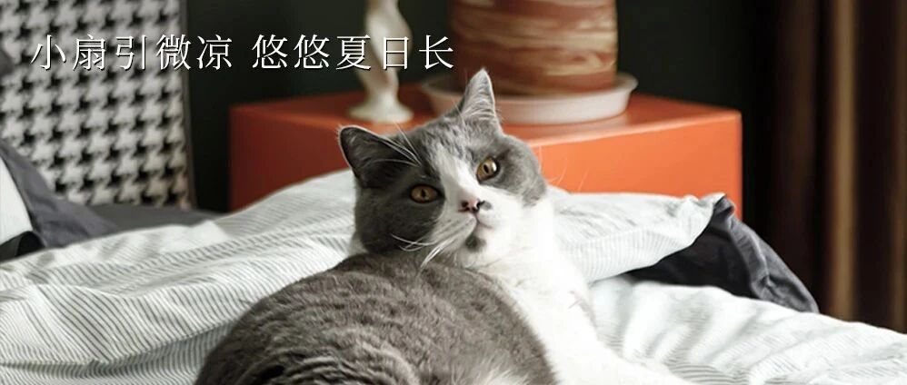 THURSDAY / 夏日悠长