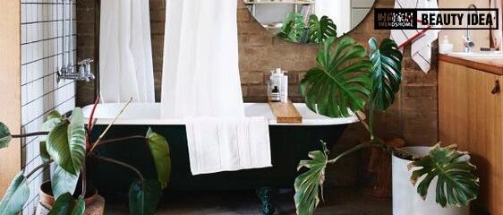 最省力最见效的卫生间清洁大法，你知道几个？