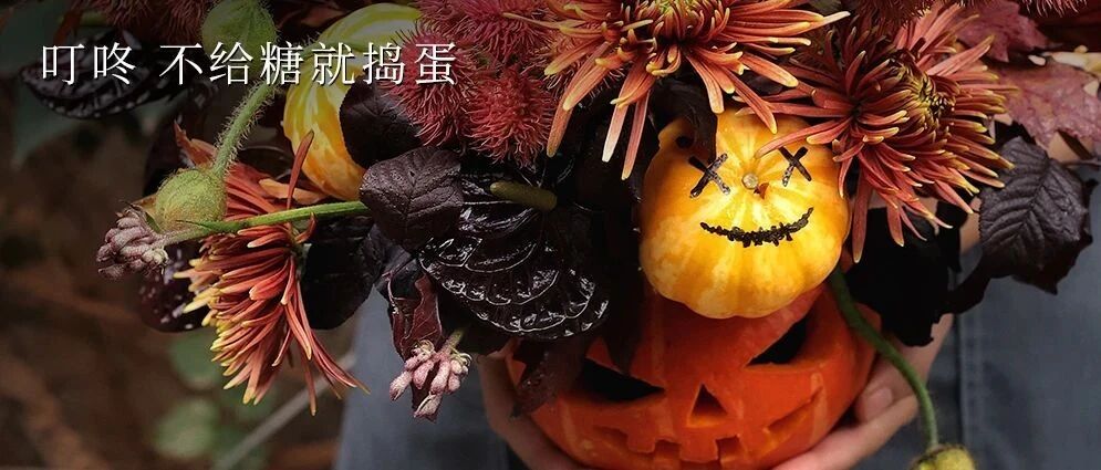 SUNDAY / 万圣节快乐