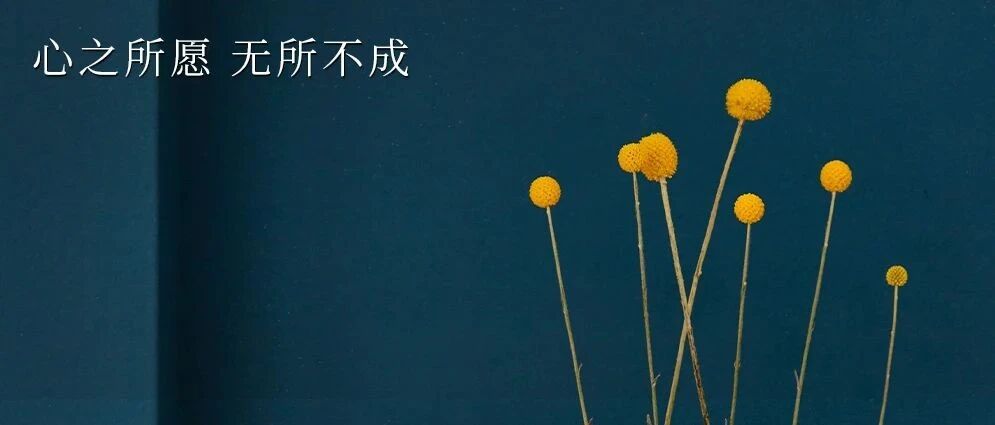 MONDAY / 心想事成