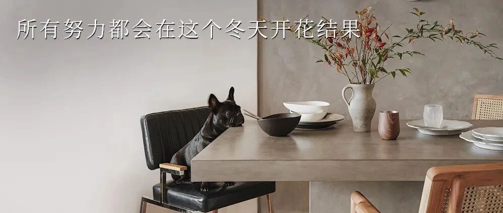 WEDNESDAY / 你好，12月