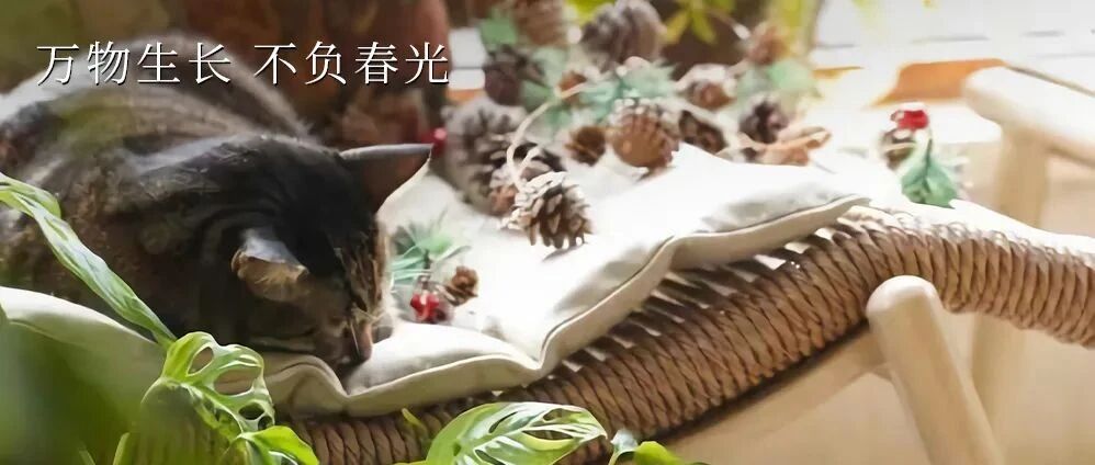 TUESDAY / 三月，你好