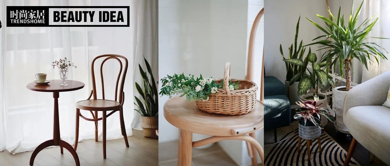 四季轮回，最爱这永不过时的“小森林”