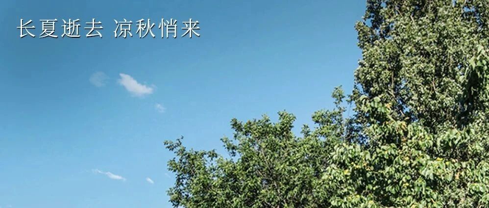 MONDAY /秋意渐凉