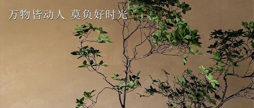 WEDNESDAY / 好时光