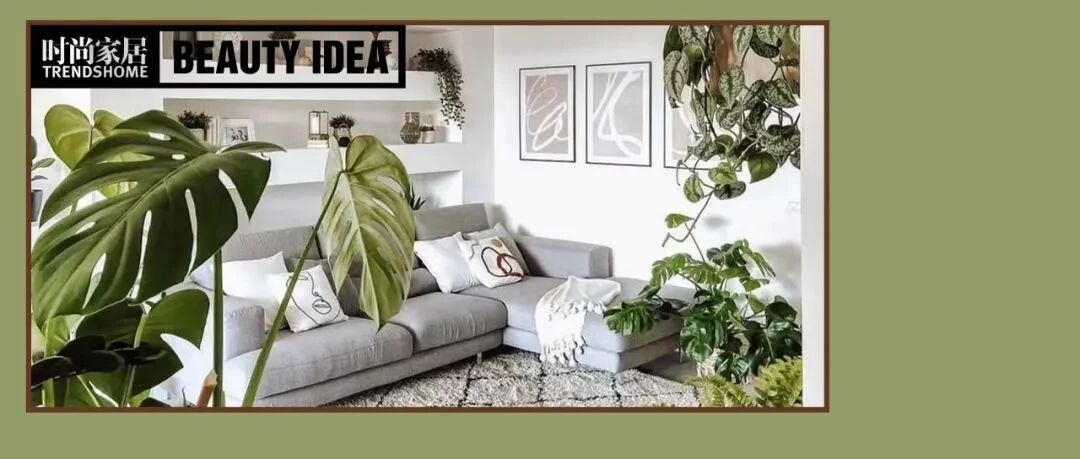 谁能抗拒春日的美好