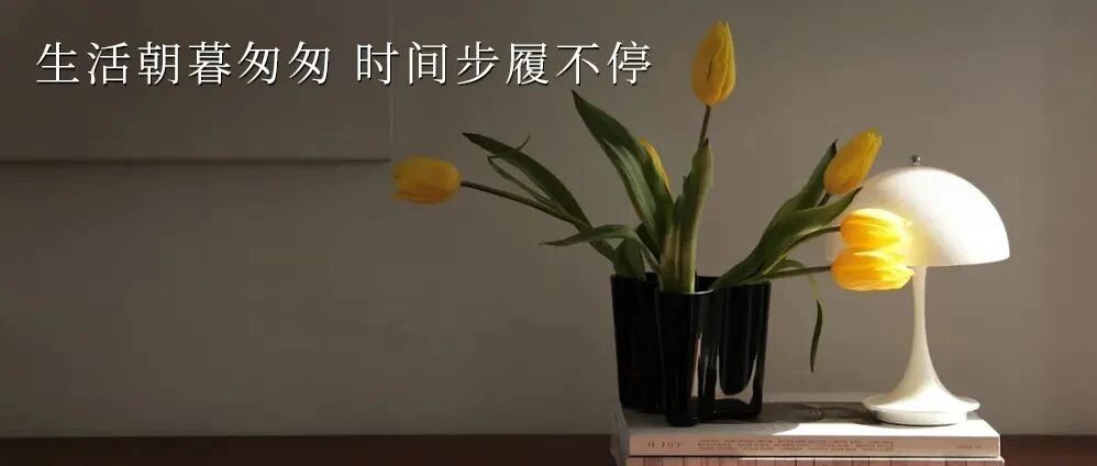 THURSDAY / 时光匆匆