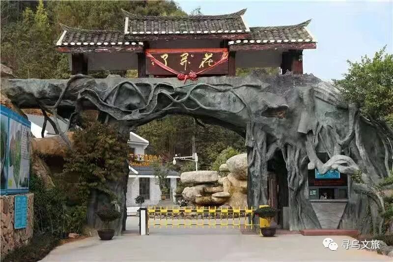 惊艳，“花开了”首个跻身“江西省4A乡村旅游点” | 寻乌县信息公开