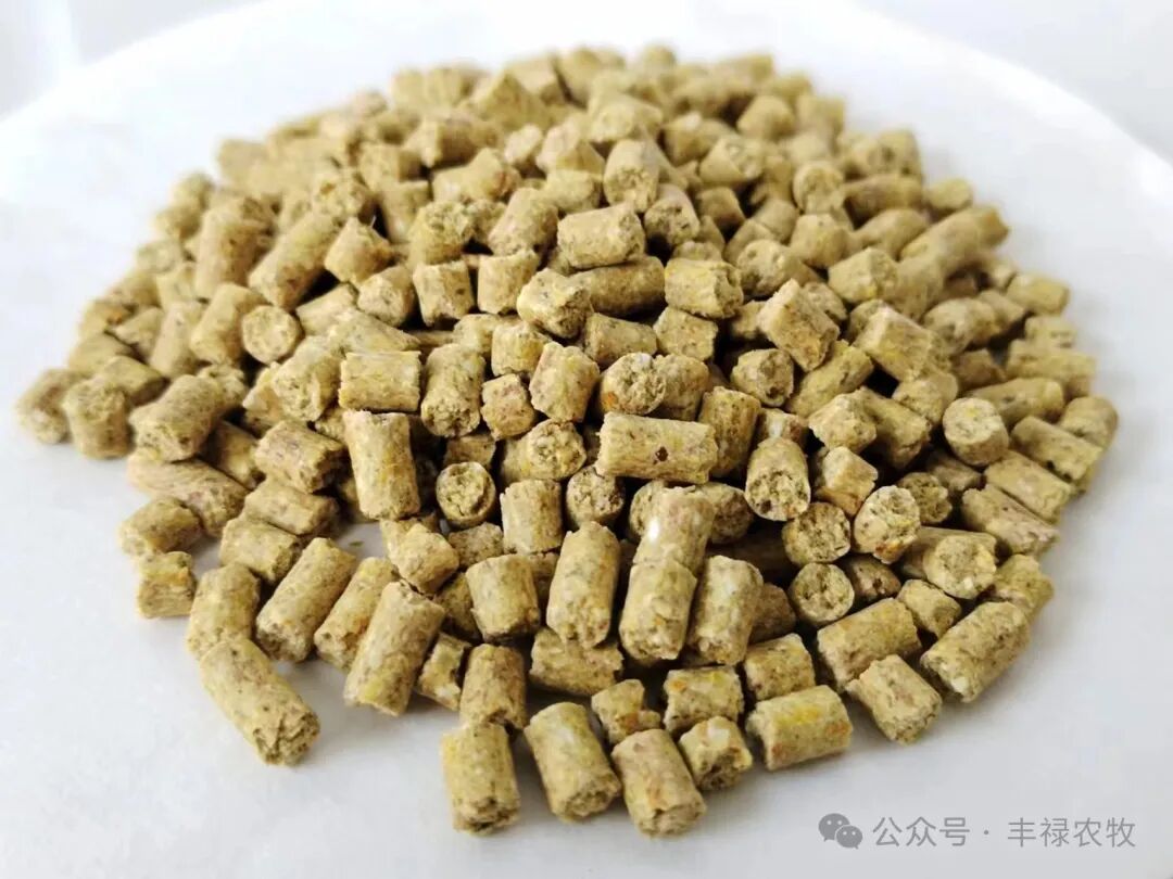 微信图片_20240527163738