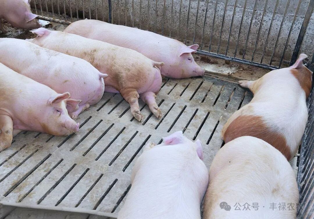 e1b198d8-fdf4-4c3d-8582-30cff7e38515