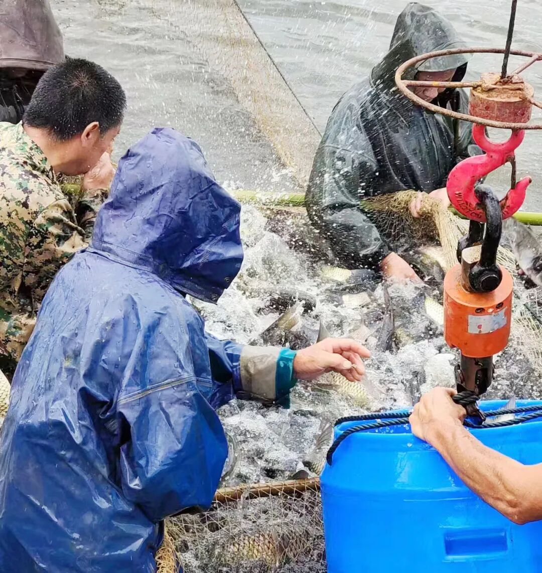 微信图片_20240925221650