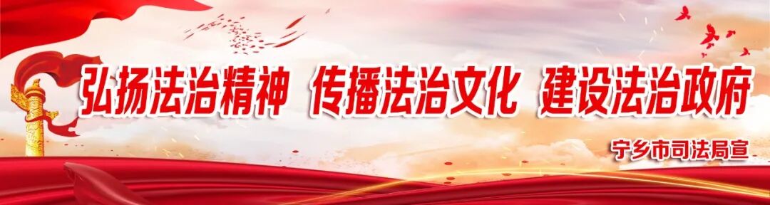 重拳出击，严厉打击电信网络诈骗——宁乡法院发布反电诈典型案例(图7)