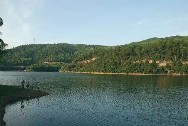 罕见!宁乡香山发现13斤重的野生娃娃鱼