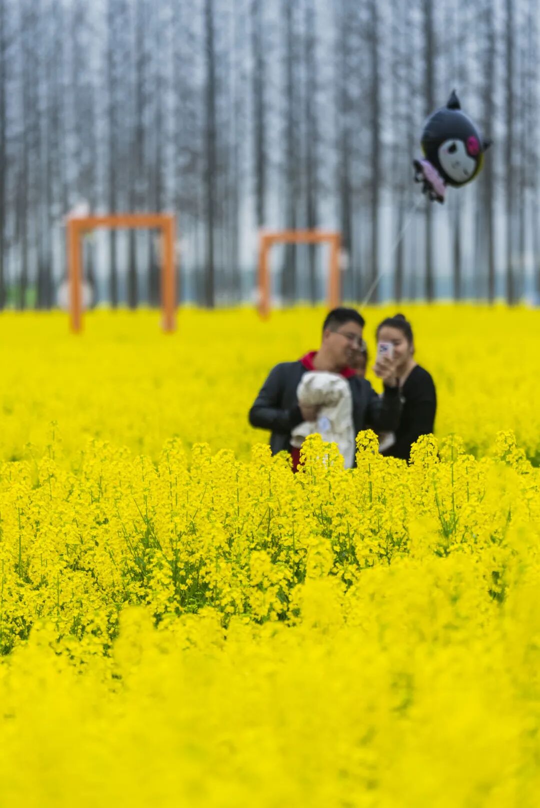 昆山赏花地图大全不可错过的春日好时光