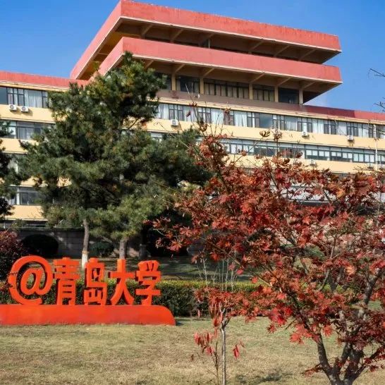 优秀教师网课经验分享_网课的经验分享_优质网课分享经验