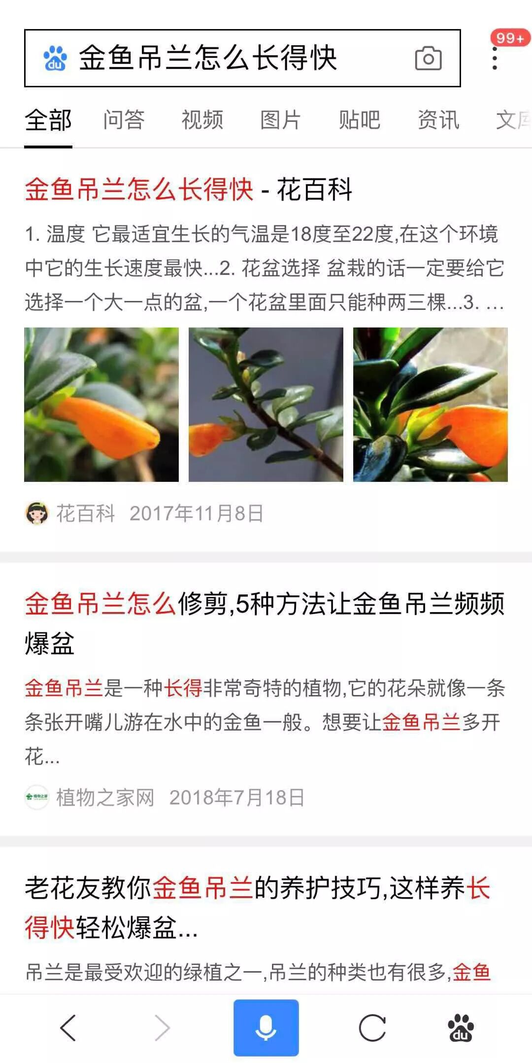 搜索与暴力美学碰撞！ 熊掌号的另类思考