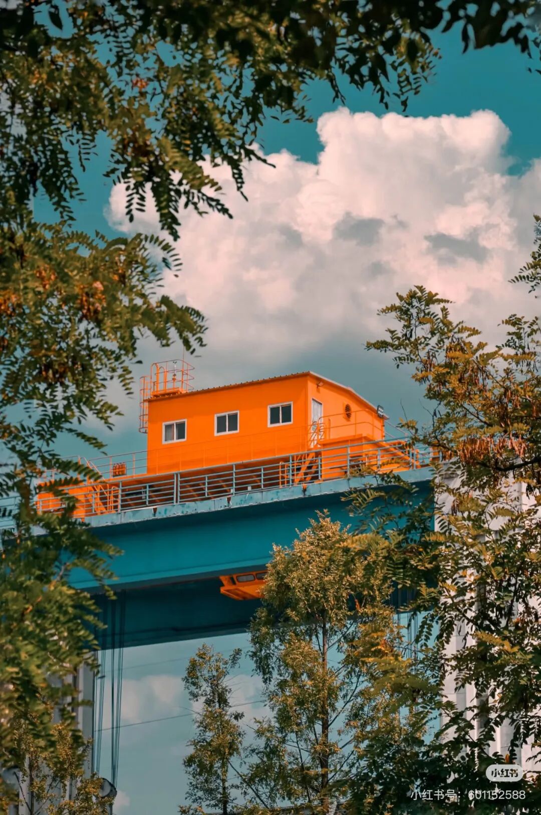 “绝版”赛道，等你体验！(图43)