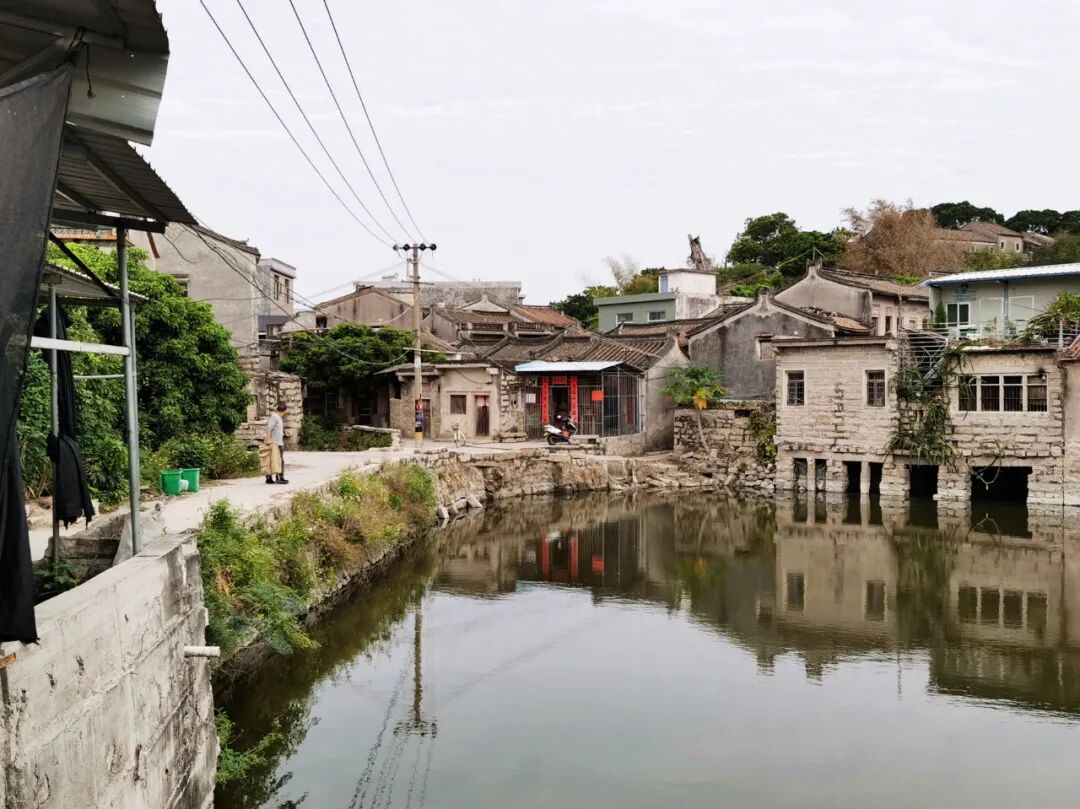 沈逸舟/仙塘清韵-学习分享案例知识