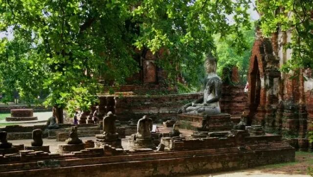 恭敬合掌 佛说业报差别经 19 淘米之 微信公众号文章阅读 Wemp