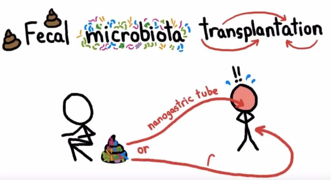 秃顶有救了？不过可能要吞屎才行...科学脑洞是无穷的（组图） - 6