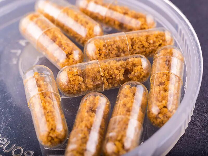 秃顶有救了？不过可能要吞屎才行...科学脑洞是无穷的（组图） - 2