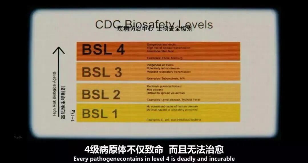 世卫官宣：这个致死率超高的病毒再次爆发！2020，还会好吗？（组图） - 8