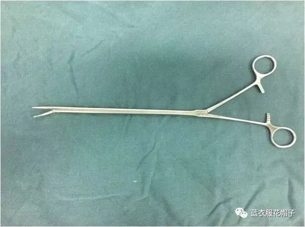 卵圆钳怎么持胸外科手术器械大汇总_https://www.jmylbn.com_新闻资讯_第21张
